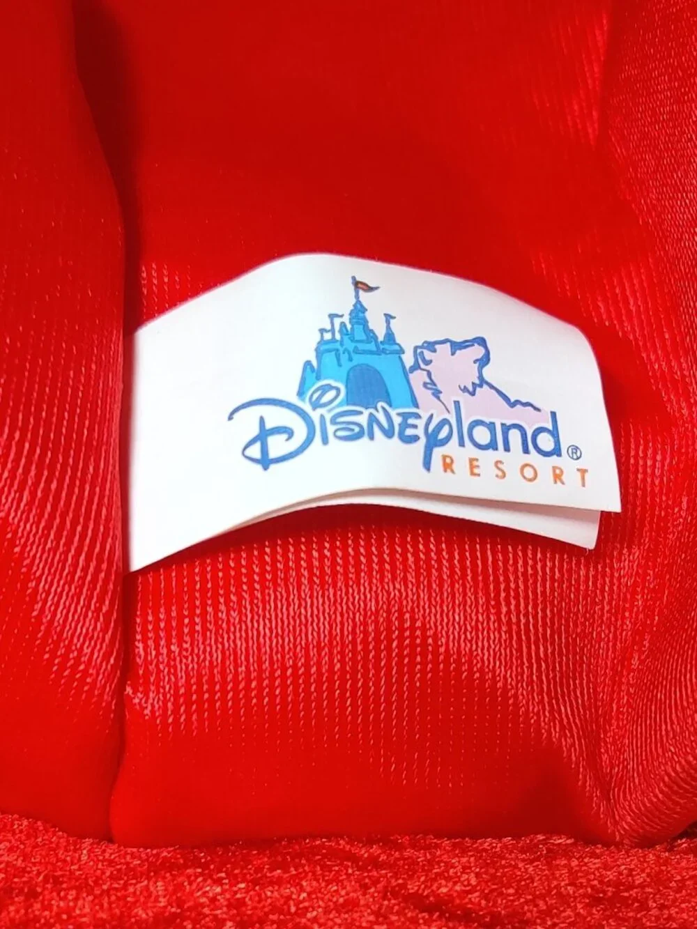 Vintage Disneyland Winnie the Pooh Birthday Cake Hat Light Up Embroidered Adult